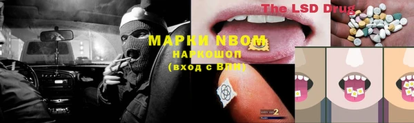 тгк Краснослободск