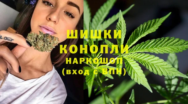 тгк Краснослободск