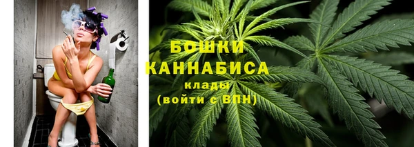 тгк Краснослободск
