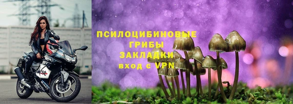 тгк Краснослободск