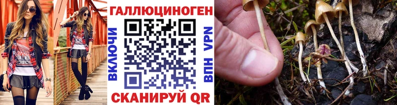 Псилоцибиновые грибы Psilocybine cubensis купить закладку Сусуман